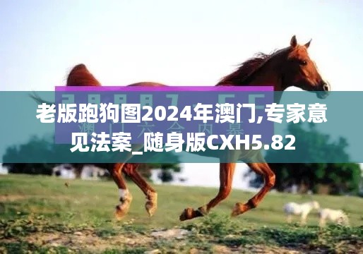 老版跑狗图2024年澳门,专家意见法案_随身版CXH5.82