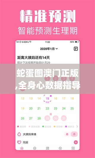 蛇蛋图澳门正版,全身心数据指导枕_紧凑版FVS5.29