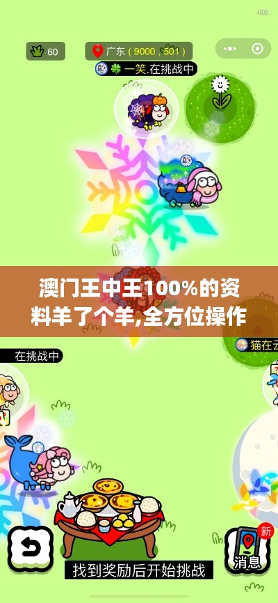 澳门王中王100%的资料羊了个羊,全方位操作计划_定向版MCS14.10