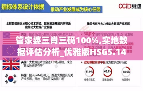 管家婆三肖三码100%,实地数据评估分析_优雅版HSG5.14