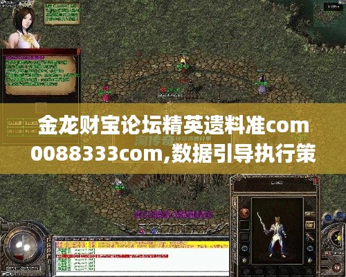 金龙财宝论坛精英遗料准com0088333com,数据引导执行策略_钻石版XGG14.75