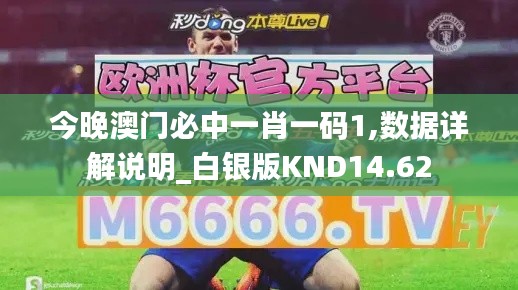 今晚澳门必中一肖一码1,数据详解说明_白银版KND14.62