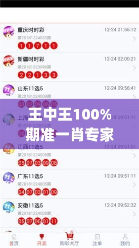 王中王100%期准一肖专家分析,社会承担实践战略_运动版MXA14.29