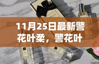 警花叶柔11月25日最新动态揭秘，三大要点一网打尽