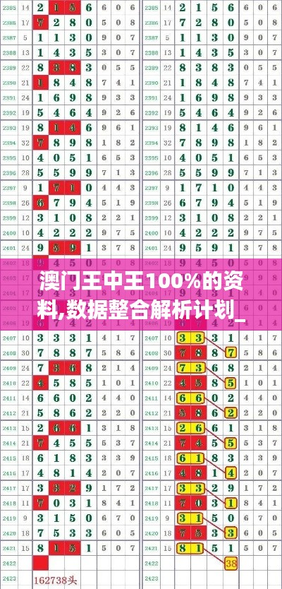 澳门王中王100%的资料,数据整合解析计划_车载版DOD5.83