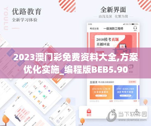 2023澳门彩免费资料大全,方案优化实施_编程版BEB5.90