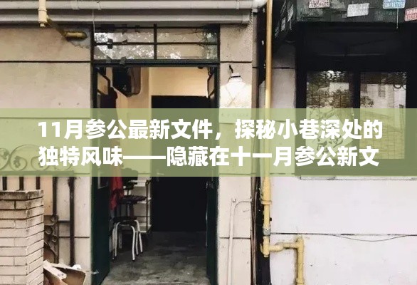 探秘十一月参公新文件中的秘密小店，小巷深处的独特风味