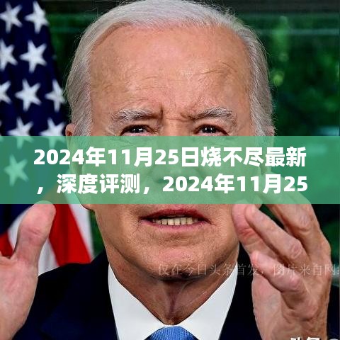 2024年11月25日烧不尽最新产品深度评测