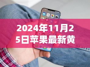 2024年11月25日苹果最新黄播直播平台，2024年苹果最新黄播直播平台趋势解析