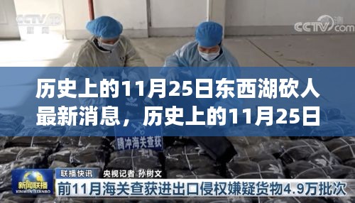 历史上的11月25日东西湖砍人事件最新进展概述与消息