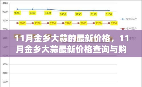 11月金乡大蒜最新价格解析与购买策略，成为大蒜市场小达人的必备指南