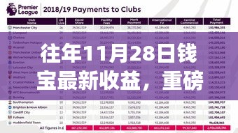 揭秘往年11月28日钱宝最新收益，财富增值大揭秘！