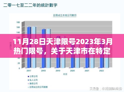 天津市特定日期限号措施深度解析，以11月28日为例，探讨限号背后的原因与影响