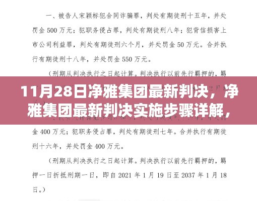 净雅集团最新判决实施细节及执行步骤全面解析（11月28日正式执行）