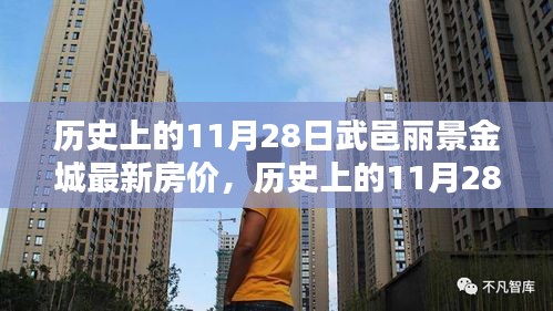 历史上的11月28日，武邑丽景金城最新房价揭秘