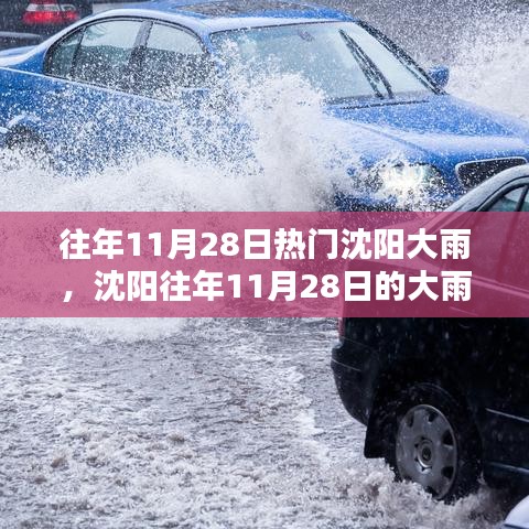 沈阳11月28日大雨的利弊影响深度解析与观点阐述