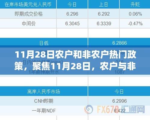 聚焦解读，农户与非农户政策热点，11月28日政策解读与趋势分析