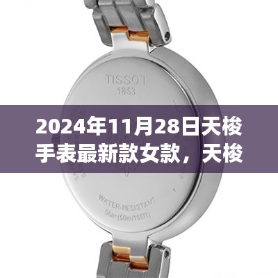 2024年11月28日女款天梭手表最新时尚精工之作