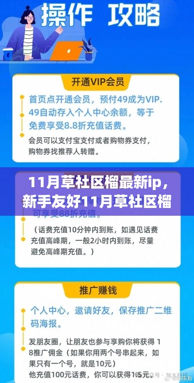 涉黄警示，新手友好指南，揭秘草社区榴莲IP获取与使用真相