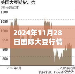 2024年大豆市场新篇章，国际行情最新信息与学习变化铸就自信与成就