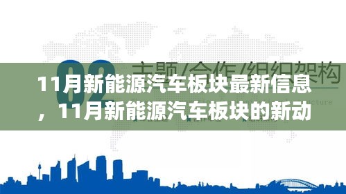 11月新能源汽车板块新动态，驶向未来的自信与成就感，变化中的学习之旅