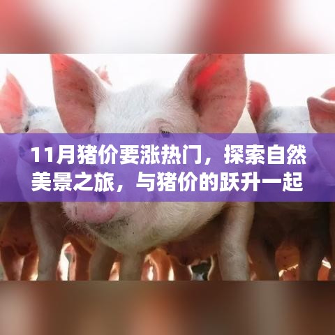 探索自然美景之旅，猪价跃升之际寻找内心的宁静与平和