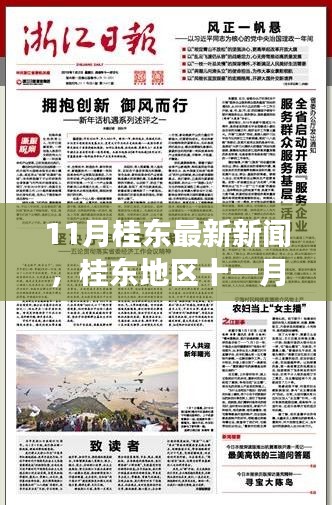 桂东地区十一月最新新闻分析，某某观点的视角探讨