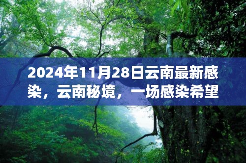 云南秘境，绿色探索之旅中的感染希望之旅（2024年11月28日最新消息）