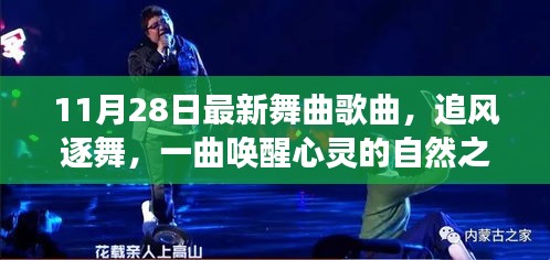 追风逐舞，唤醒心灵的自然舞曲之旅（最新舞曲歌曲）