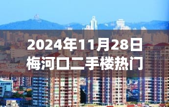 梅河口二手楼市风云再起，聚焦最新热门信息回顾（2024年11月28日）