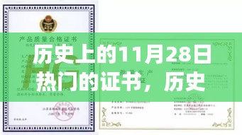 历史上的这一天，揭秘11月28日热门证书背后的励志故事，自信起航之路