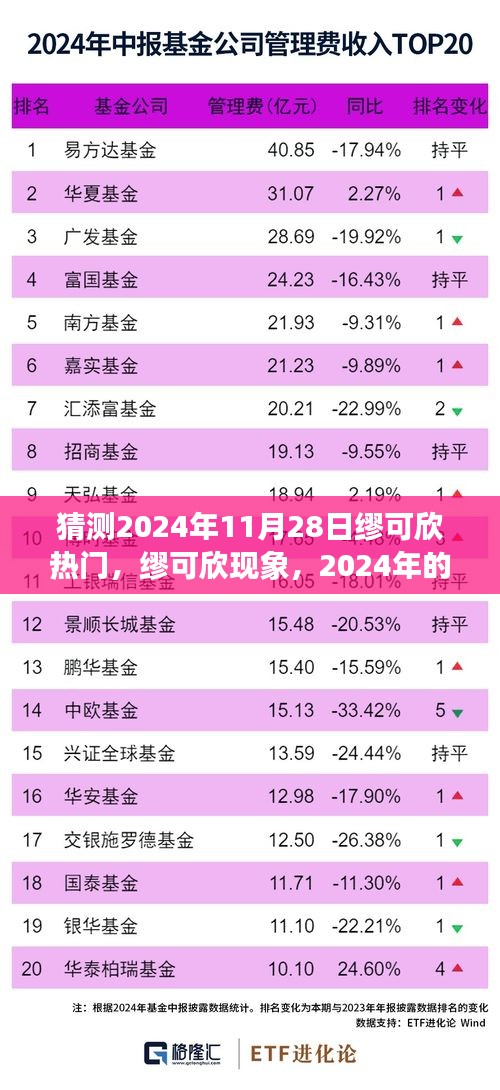 2024年缪可欣现象，热门回顾与深远影响