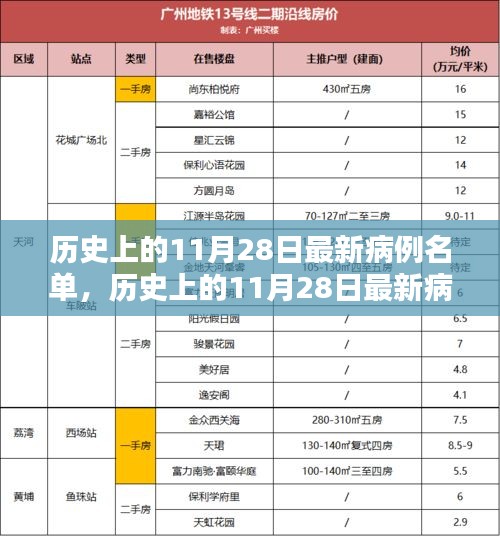 历史上的11月28日病例名单详解与步骤指南