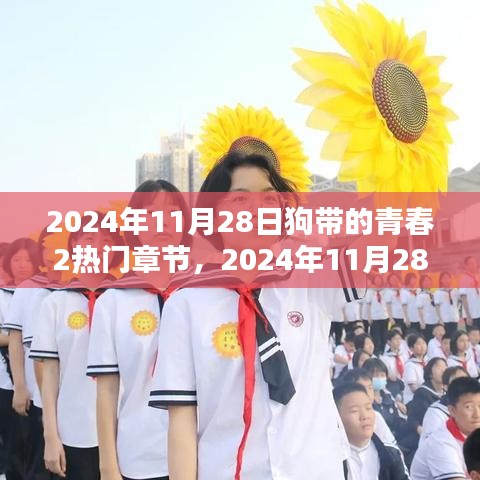 2024年11月 第34页