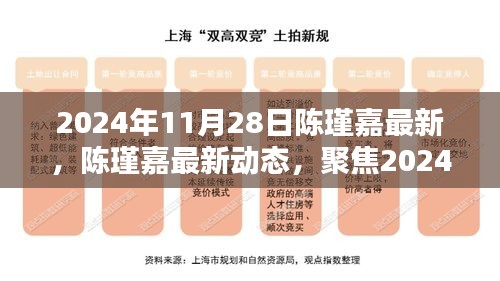 陈瑾嘉最新动态，聚焦三大要点揭晓的独家报道（2024年11月28日）