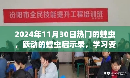 跃动的启示，2024年11月30日蝗虫启示录与自信闪耀的成长之旅