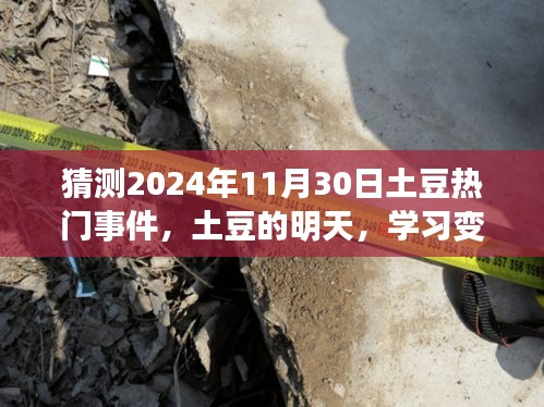 预测土豆热门事件，学习变化，拥抱未来无限可能 —— 土豆的明天展望 2024年11月30日