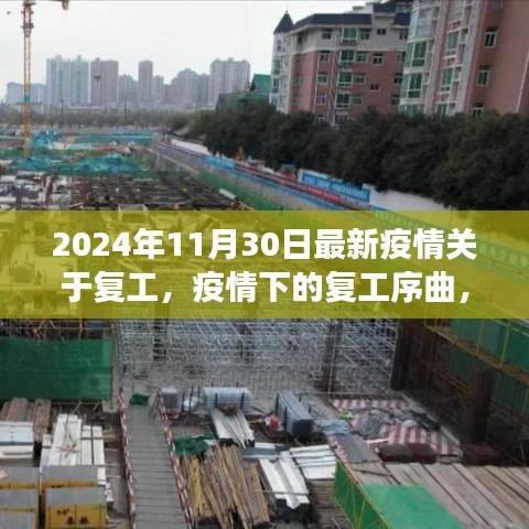 疫情下的复工序曲，爱与陪伴的冒险之旅启程于2024年11月30日