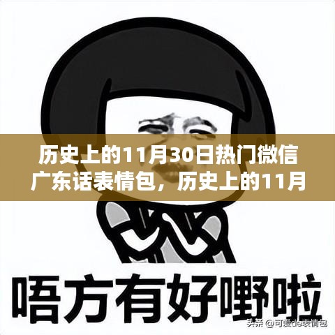 历史上的11月30日热门微信广东话表情包详解与评测，全面介绍与体验分享