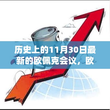 揭秘，欧佩克会议历史上的重要时刻——十一月三十日的会议内幕揭秘