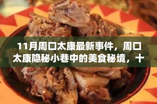 周口太康隐秘小巷美食探秘，十一月最新事件揭秘之旅