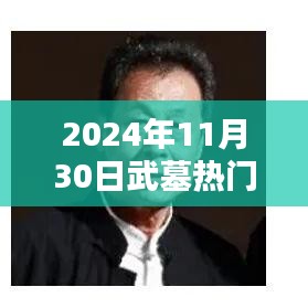 揭秘武墓新篇章，未来科技产品的超凡体验之旅（2024年11月30日热门章节）