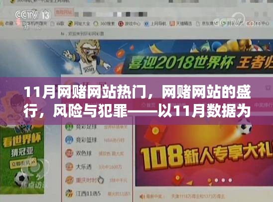 网赌网站盛行背后的风险与犯罪，以11月数据为例的探讨