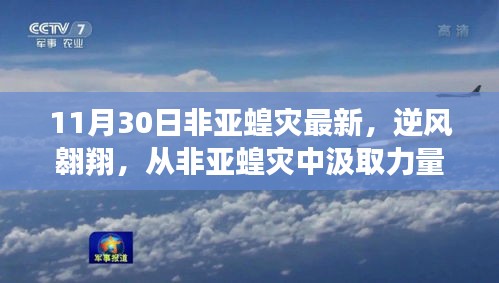 逆风翱翔，非亚蝗灾启示录与自信人生的成长之路