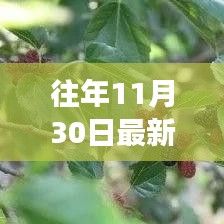 甘肃秘境探险，病毒阴影下的自然美景之旅探索