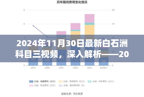 2024年白石洲科目三视频全面评测与深入解析