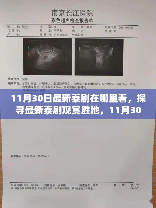 探寻最新泰剧观赏胜地，11月30日热门泰剧观看指南