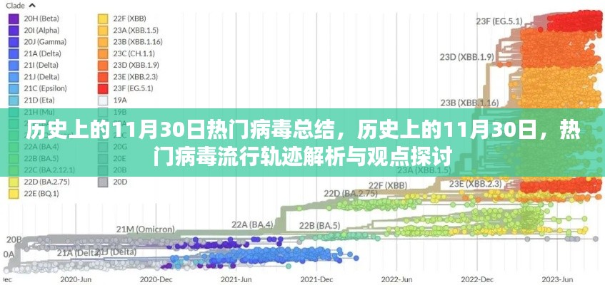 历史上的11月30日病毒流行轨迹解析，热门病毒总结与观点探讨