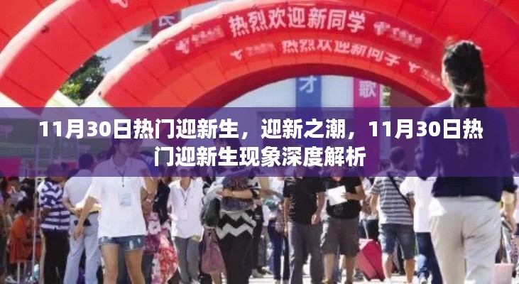 11月30日迎新热潮深度解析，新生迎接现象探析