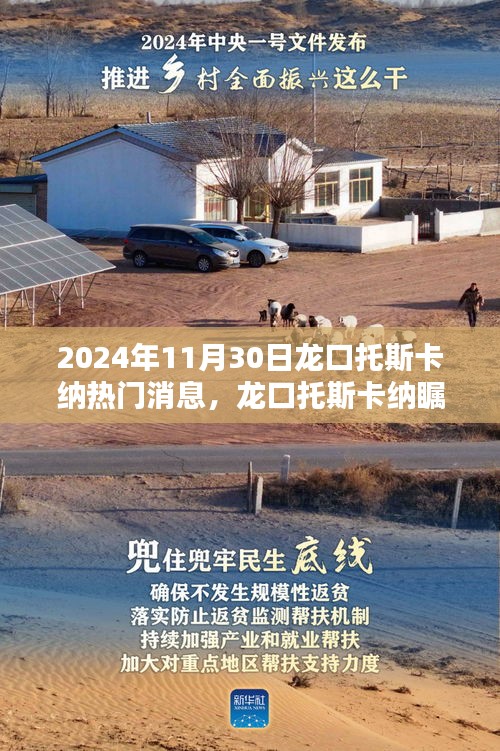 龙口托斯卡纳瞩目焦点，揭秘2024年11月30日热门消息详解